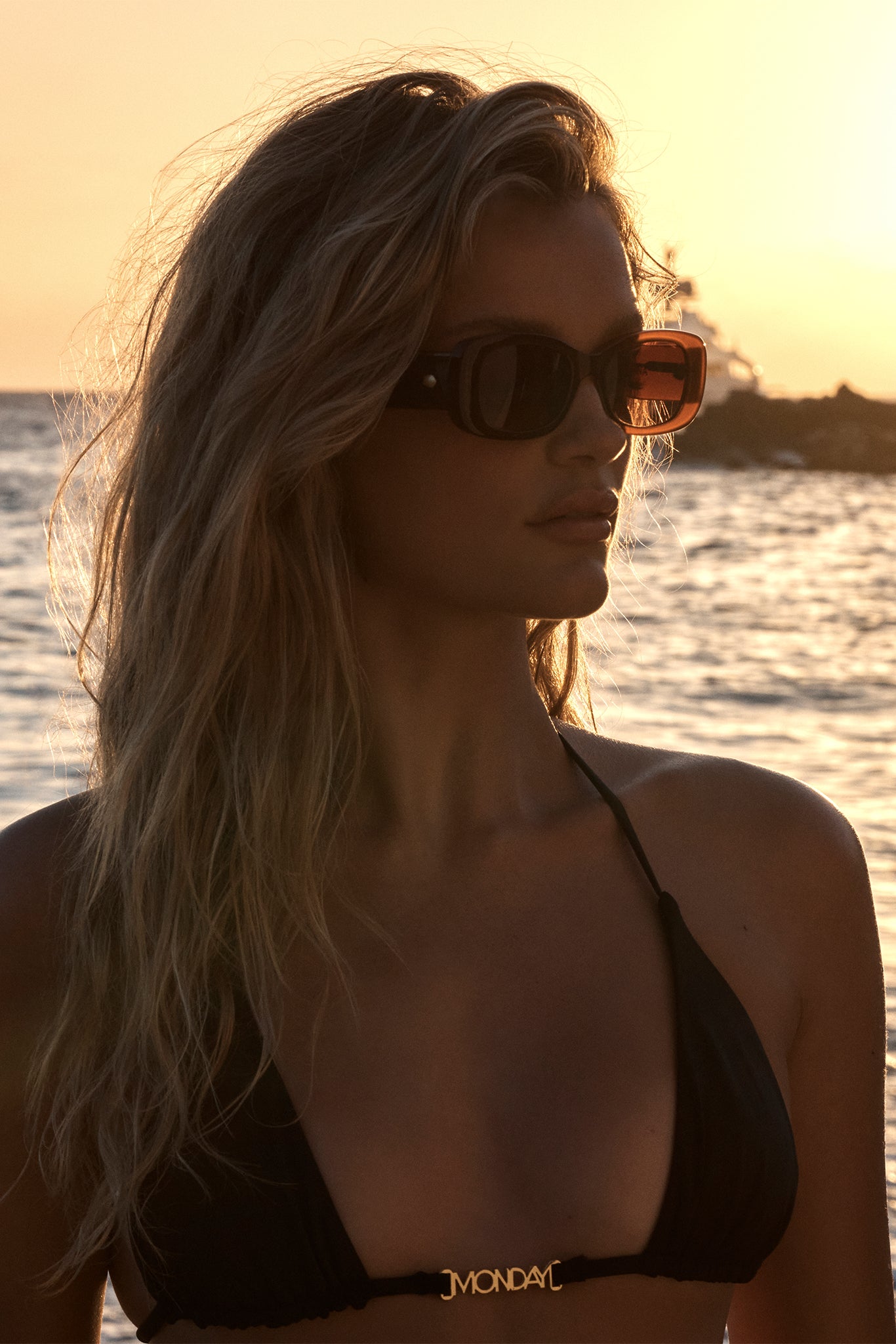 Piana Sunglasses - Brown - Image 2